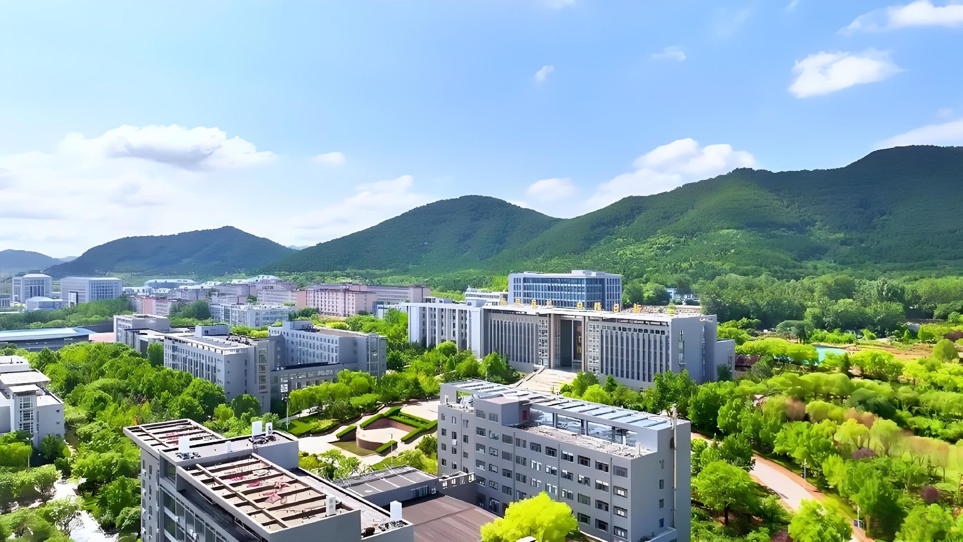 山东商业职业学院.jpg